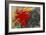 Fighting forms-Franz Marc-Framed Giclee Print