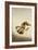 Fighting Monkeys-Koson Ohara-Framed Giclee Print