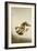 Fighting Monkeys-Koson Ohara-Framed Giclee Print