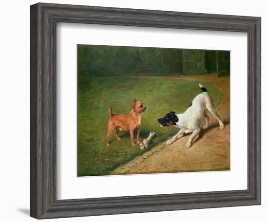 Fighting over a Bone-John Emms-Framed Giclee Print