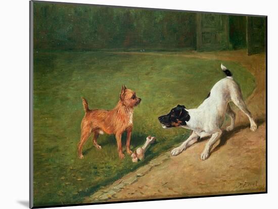 Fighting over a Bone-John Emms-Mounted Giclee Print