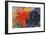 Fighting Shapes, 1914-Franz Marc-Framed Giclee Print