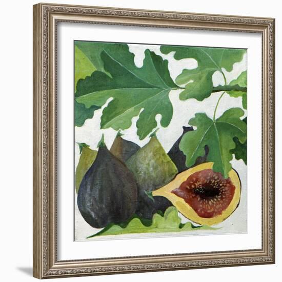 Figs, 2013-Jennifer Abbott-Framed Giclee Print