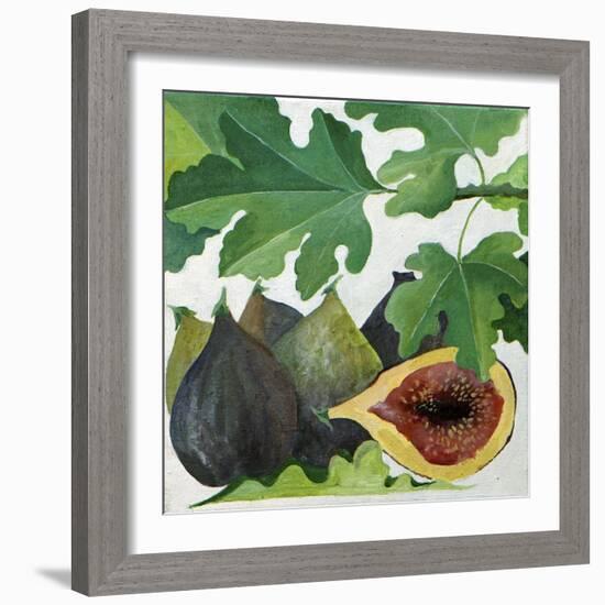 Figs, 2013-Jennifer Abbott-Framed Giclee Print