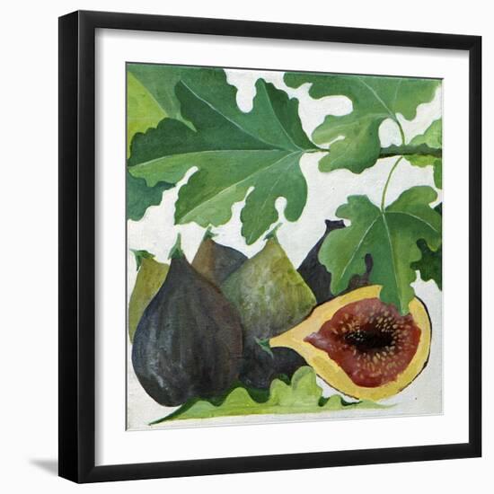 Figs, 2013-Jennifer Abbott-Framed Giclee Print