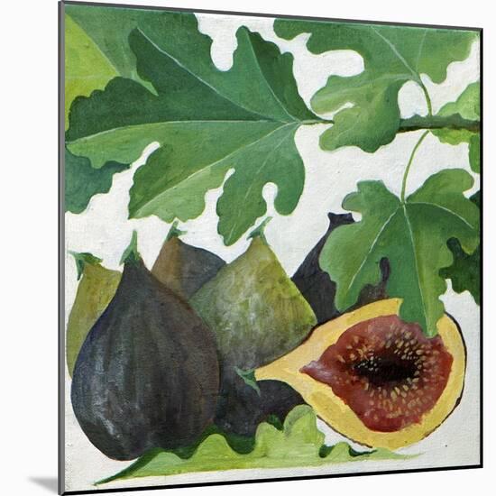 Figs, 2013-Jennifer Abbott-Mounted Giclee Print