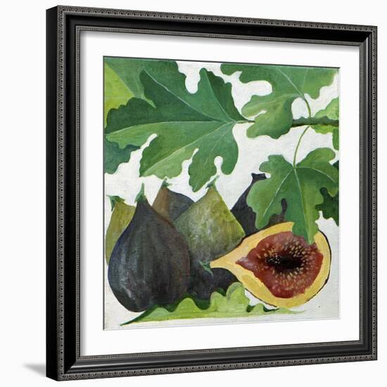 Figs, 2013-Jennifer Abbott-Framed Giclee Print