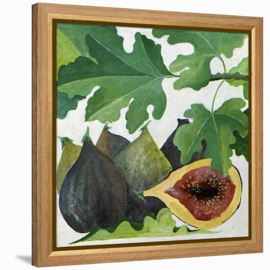 Figs, 2013-Jennifer Abbott-Framed Premier Image Canvas