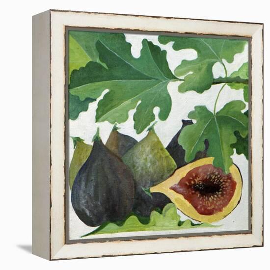 Figs, 2013-Jennifer Abbott-Framed Premier Image Canvas