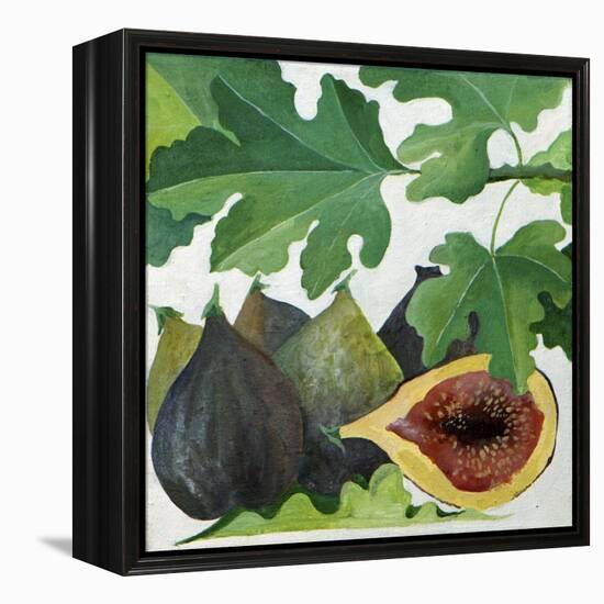 Figs, 2013-Jennifer Abbott-Framed Premier Image Canvas