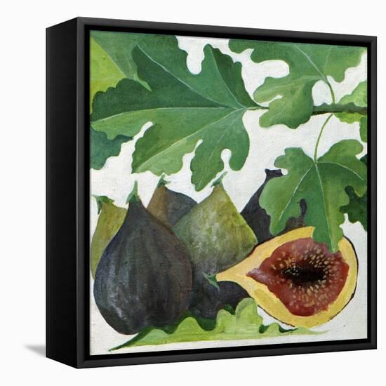 Figs, 2013-Jennifer Abbott-Framed Premier Image Canvas