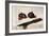 Figs and Knife-James Gillick-Framed Premium Giclee Print