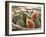 Figs in a Baskest-Michelle Garrett-Framed Photographic Print