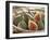 Figs in a Baskest-Michelle Garrett-Framed Photographic Print