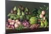 Figs, Melon and Gooseberries, 1998-Amelia Kleiser-Mounted Giclee Print