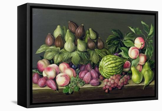 Figs, Melon and Gooseberries, 1998-Amelia Kleiser-Framed Premier Image Canvas