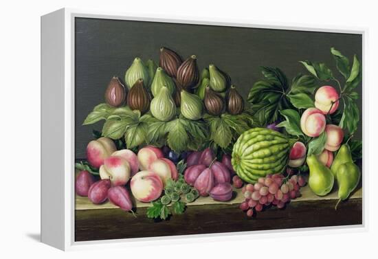 Figs, Melon and Gooseberries, 1998-Amelia Kleiser-Framed Premier Image Canvas