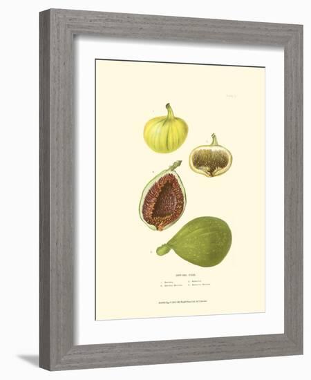 Figs-null-Framed Art Print