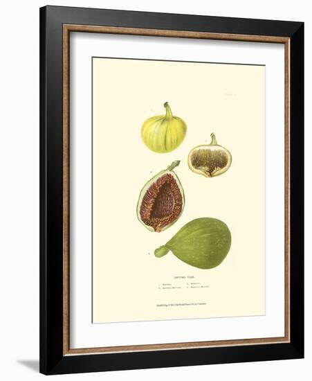 Figs-null-Framed Art Print