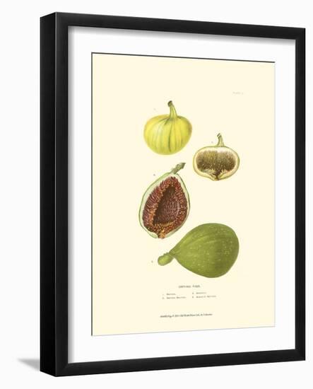 Figs-null-Framed Art Print