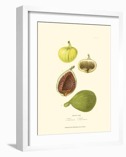 Figs-null-Framed Art Print