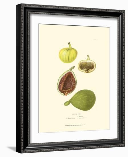 Figs-null-Framed Art Print