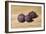 Figs-James Gillick-Framed Giclee Print