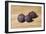 Figs-James Gillick-Framed Giclee Print