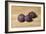 Figs-James Gillick-Framed Giclee Print