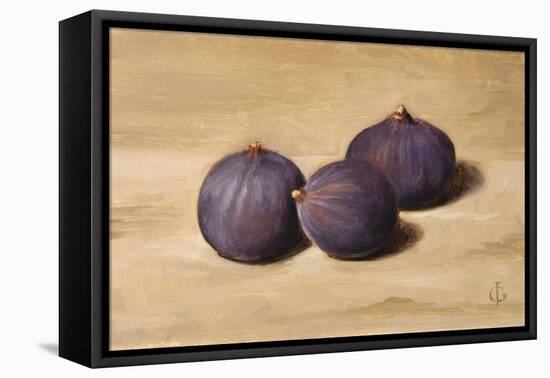 Figs-James Gillick-Framed Premier Image Canvas