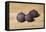 Figs-James Gillick-Framed Premier Image Canvas