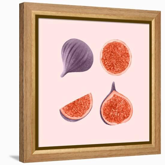 Figs-Stacy Hsu-Framed Stretched Canvas