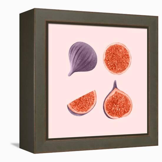 Figs-Stacy Hsu-Framed Stretched Canvas