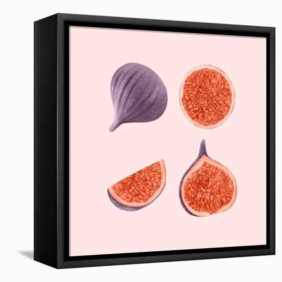 Figs-Stacy Hsu-Framed Stretched Canvas