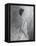 Figurative Pose 1-Karen Wallis-Framed Stretched Canvas