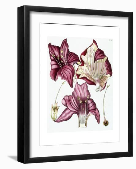 Figure 18-null-Framed Giclee Print