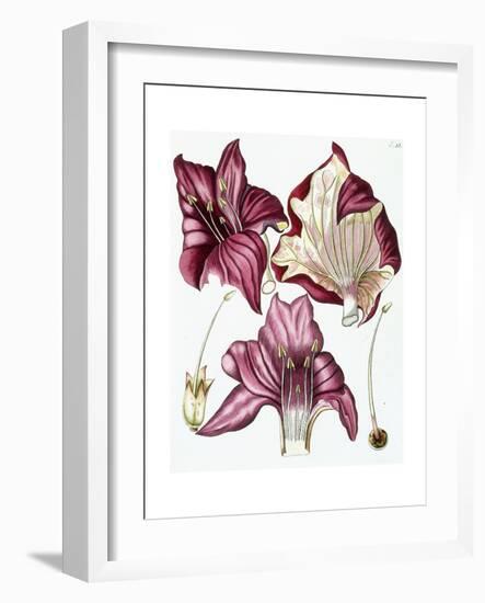 Figure 18-null-Framed Giclee Print