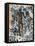 Figure, 1936-Eileen Agar-Framed Premier Image Canvas