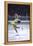 Figure Skater Peggy Fleming Competing in the Olympics-Art Rickerby-Framed Premier Image Canvas