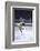 Figure Skater Peggy Fleming Competing in the Olympics-Art Rickerby-Framed Photographic Print