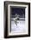 Figure Skater Peggy Fleming Competing in the Olympics-Art Rickerby-Framed Photographic Print