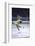 Figure Skater Peggy Fleming Competing in the Olympics-Art Rickerby-Framed Photographic Print