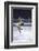 Figure Skater Peggy Fleming Competing in the Olympics-Art Rickerby-Framed Photographic Print