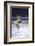 Figure Skater Peggy Fleming Competing in the Olympics-Art Rickerby-Framed Photographic Print