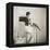Figure Study with Parrot-Curtis Moffat-Framed Premier Image Canvas
