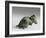 Figurine of a Mouse, C.30 BC - AD 384-Roman Period Egyptian-Framed Giclee Print