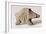 Figurine of a Small Boar, from Tappeh Sarab, Iran, circa 6th Millennium BC-Prehistoric-Framed Giclee Print