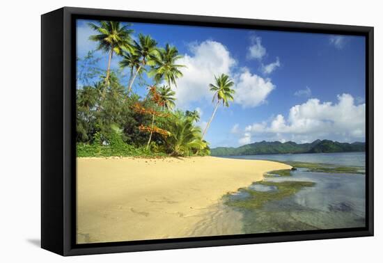 Fiji Beach-null-Framed Premier Image Canvas