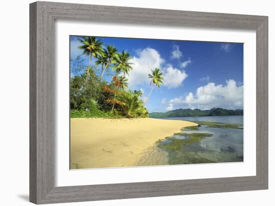 Fiji Beach-null-Framed Photographic Print