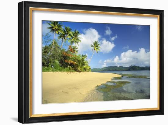 Fiji Beach-null-Framed Photographic Print